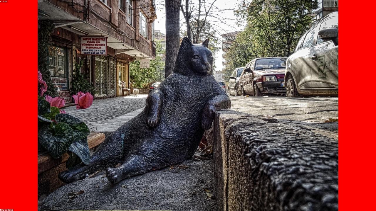 Rustic Stage Background